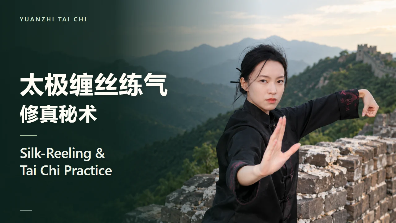 Silk-Reeling & Tai Chi Practice course artwork